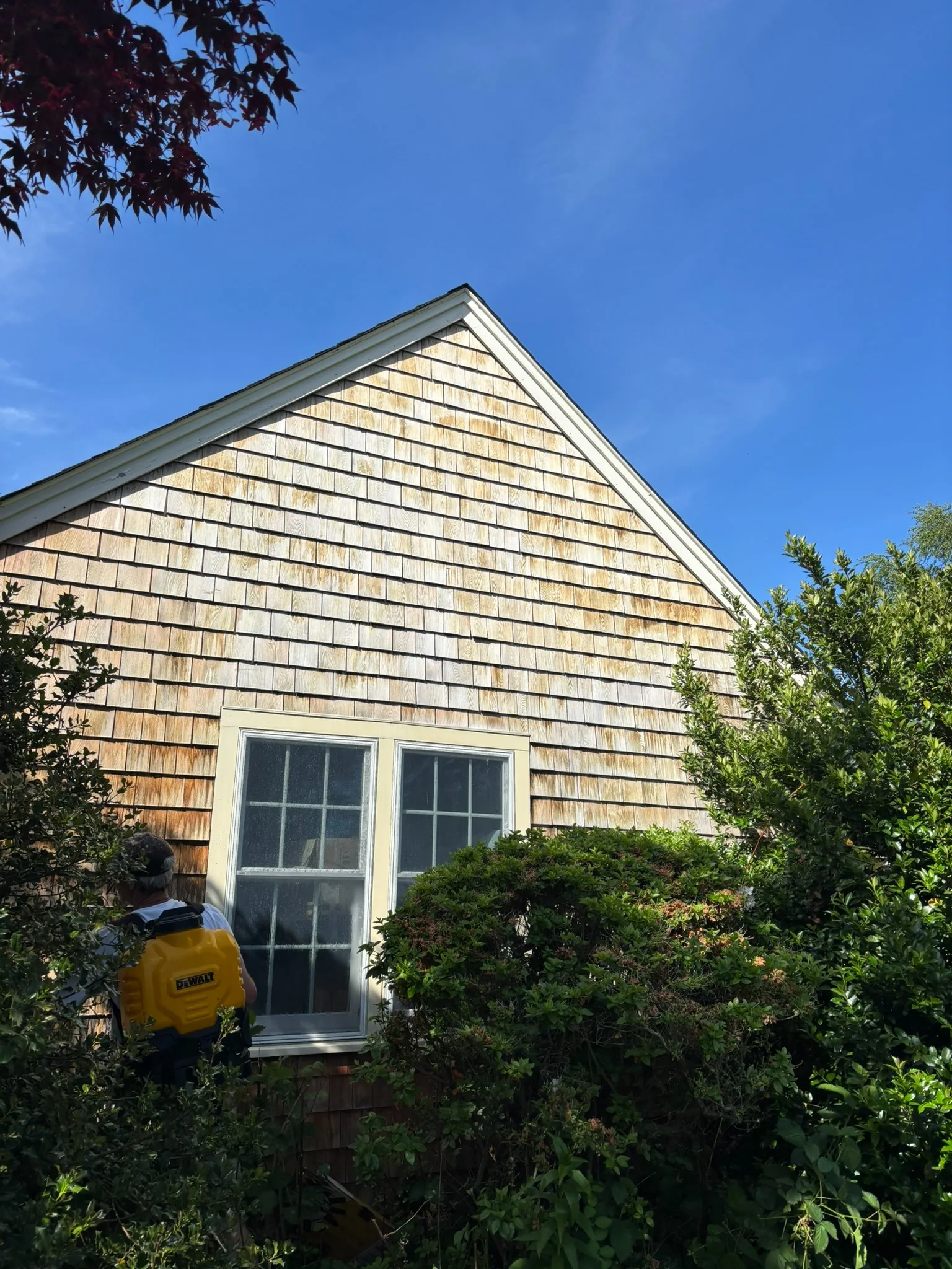 Close view of cedar shingles after cleaning