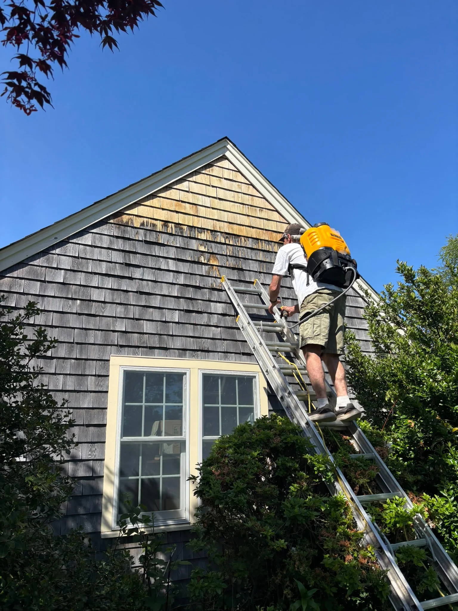 Close view of weathered cedar shingles before cleaning